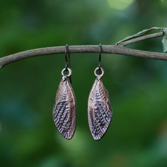 Cicada Wing Earrings