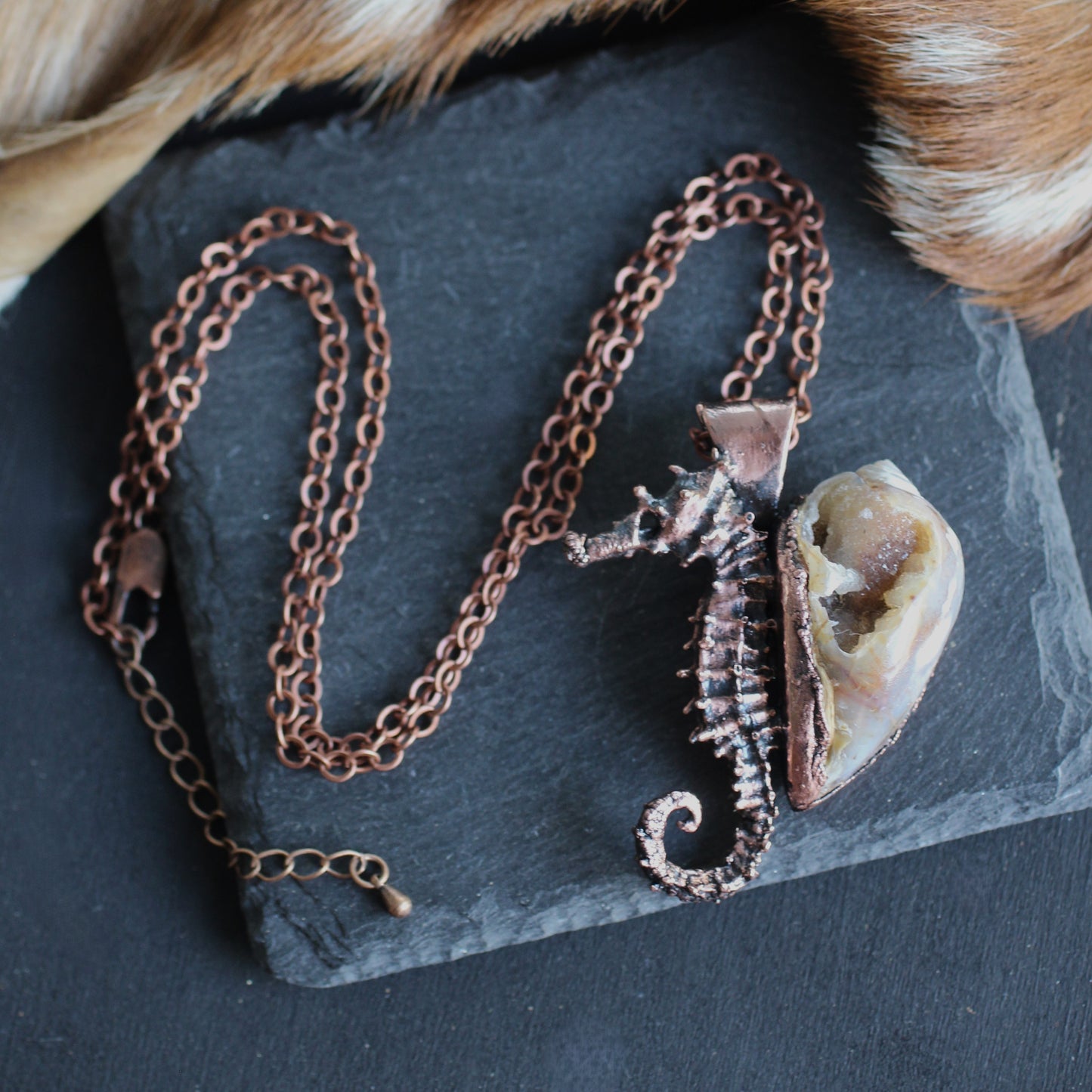 Seahorse Adventurer