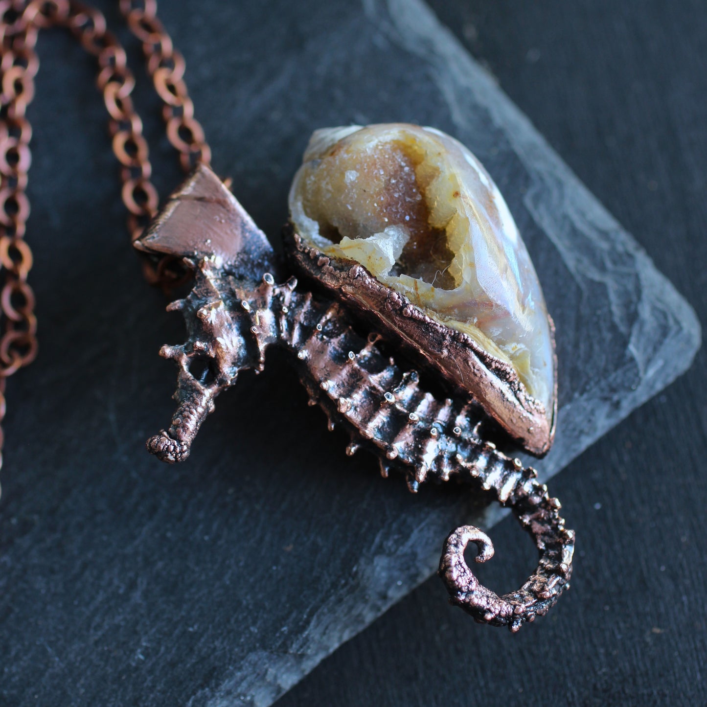 Seahorse Adventurer
