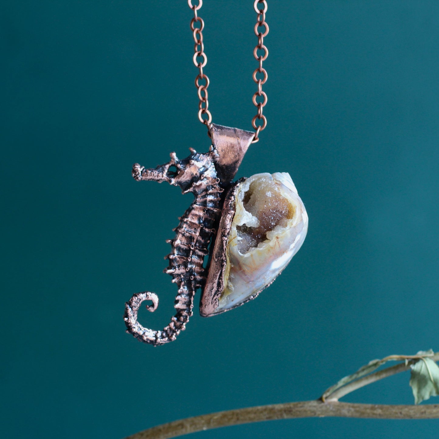 Seahorse Adventurer