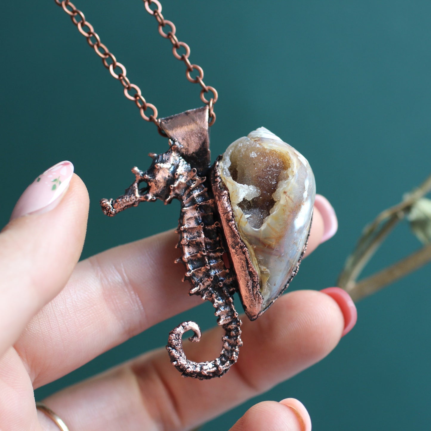 Seahorse Adventurer