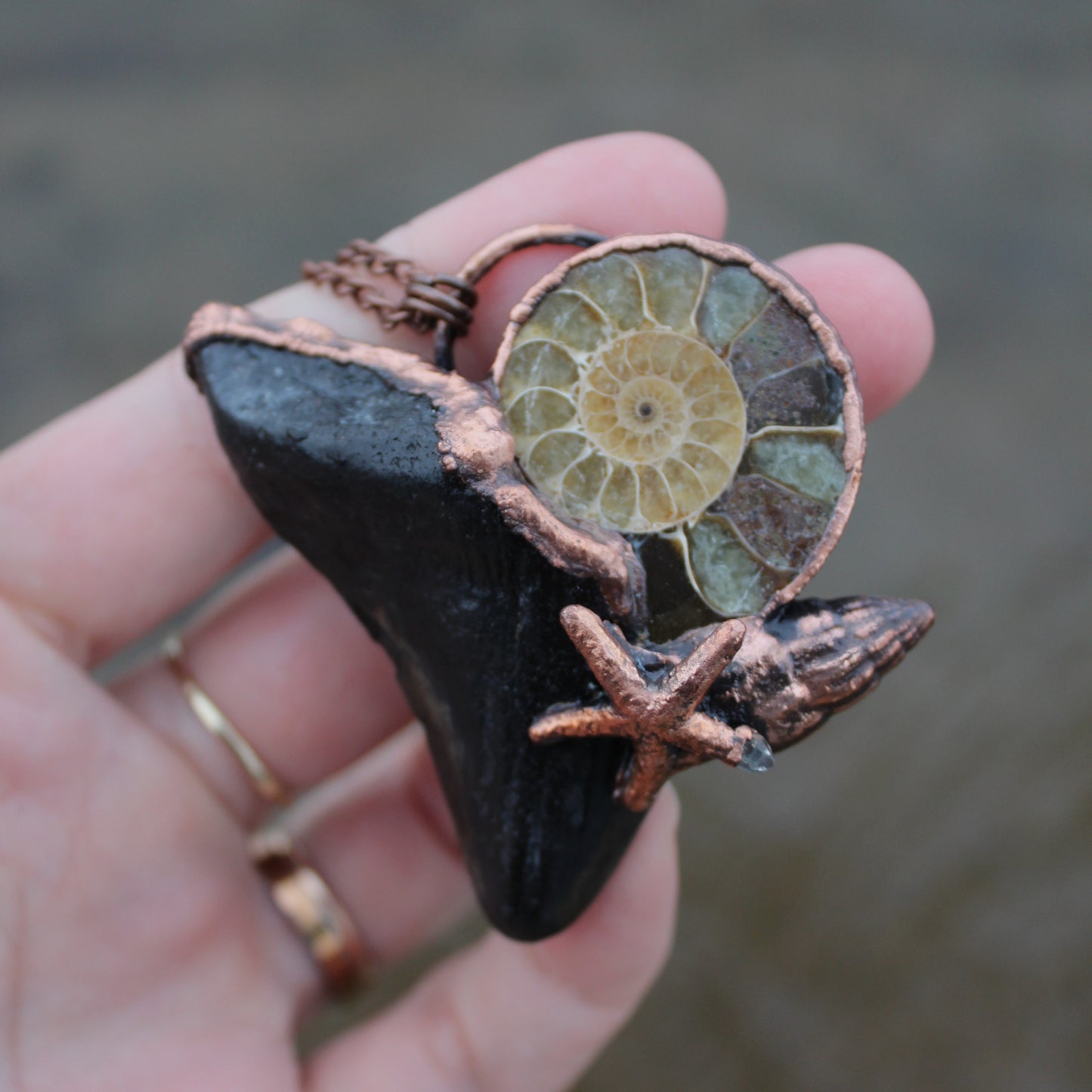 Ammonite Megalodon Tooth Necklace