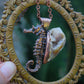 Seahorse Adventurer