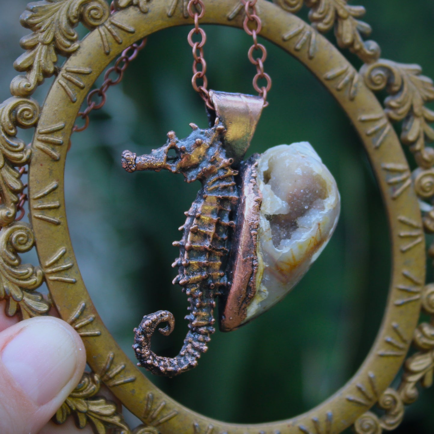 Seahorse Adventurer