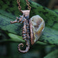 Seahorse Adventurer
