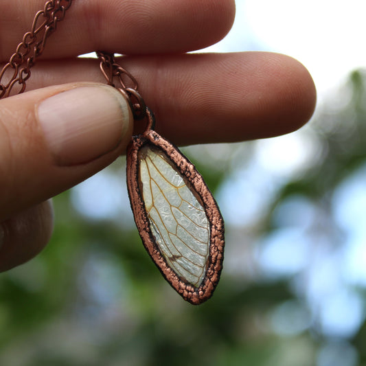 Clear Cicada Wing (Resin)
