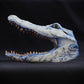 Delft Alligator