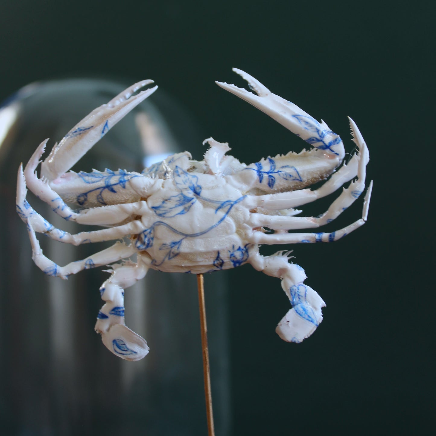 Delft Crab Cloche