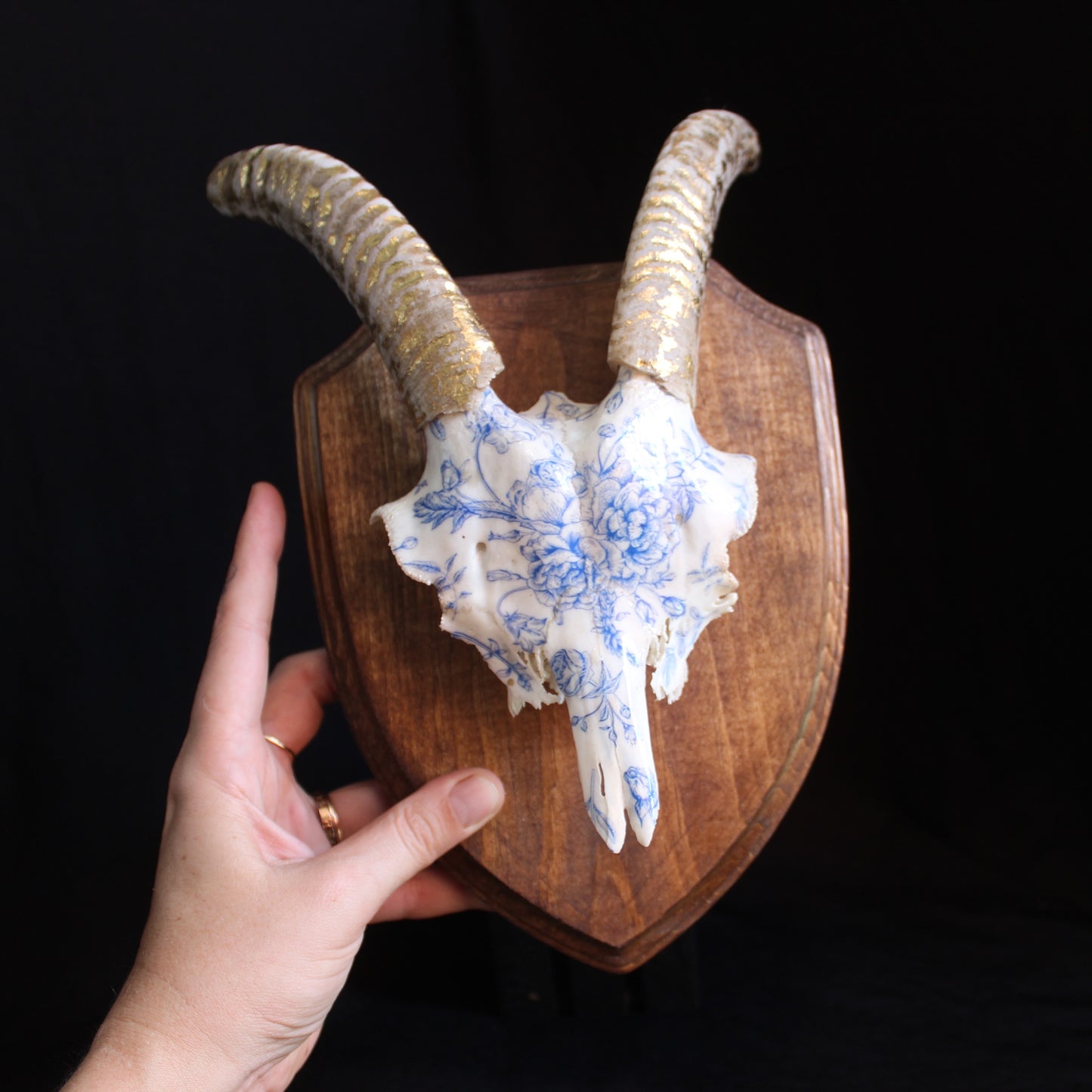 Goat Skull Plaque