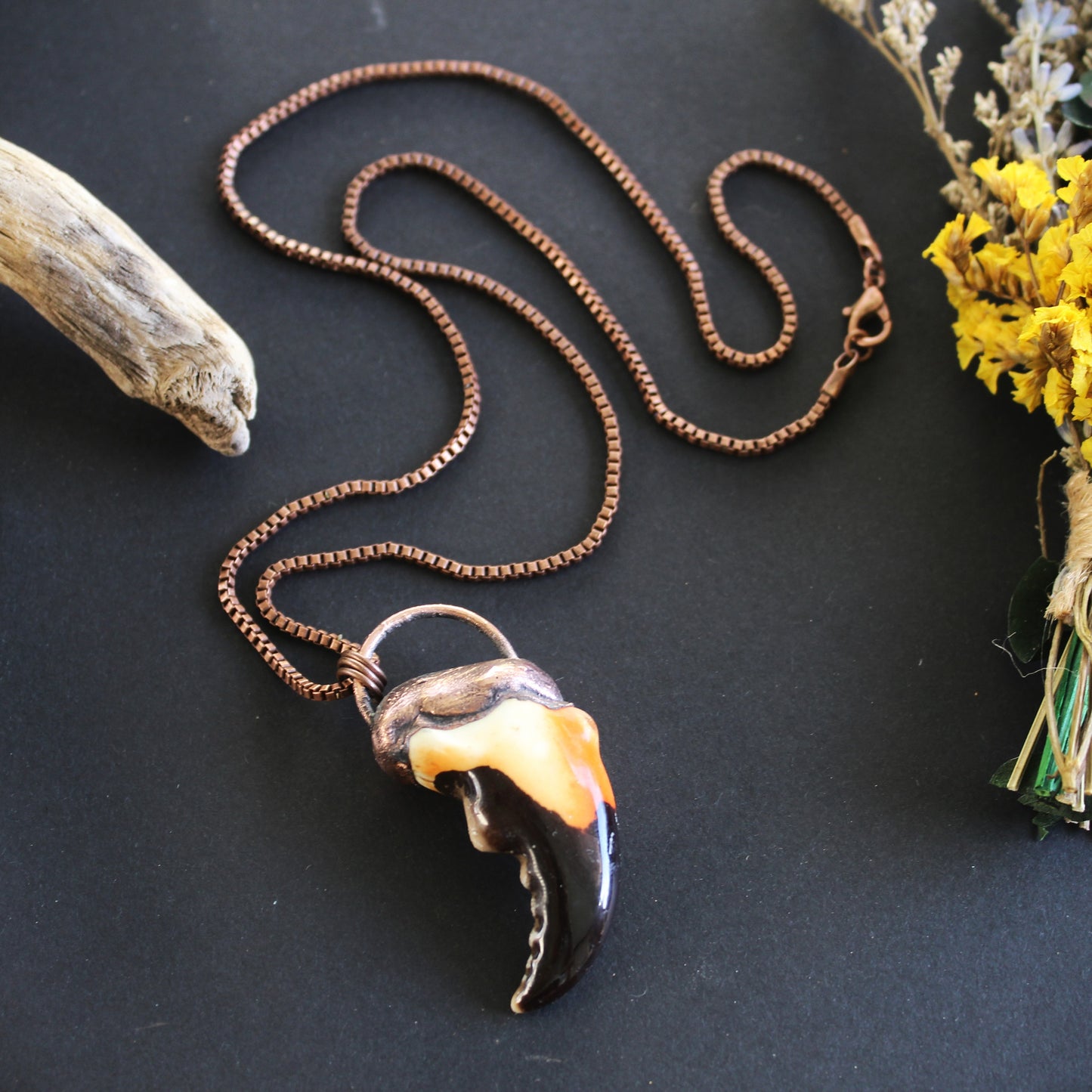 Stone Crab Claw Necklace