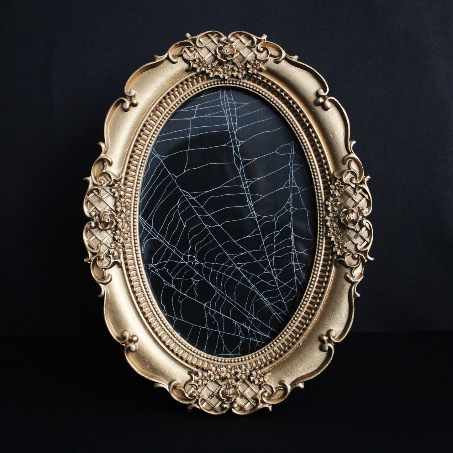 Framed Oval Spider Web