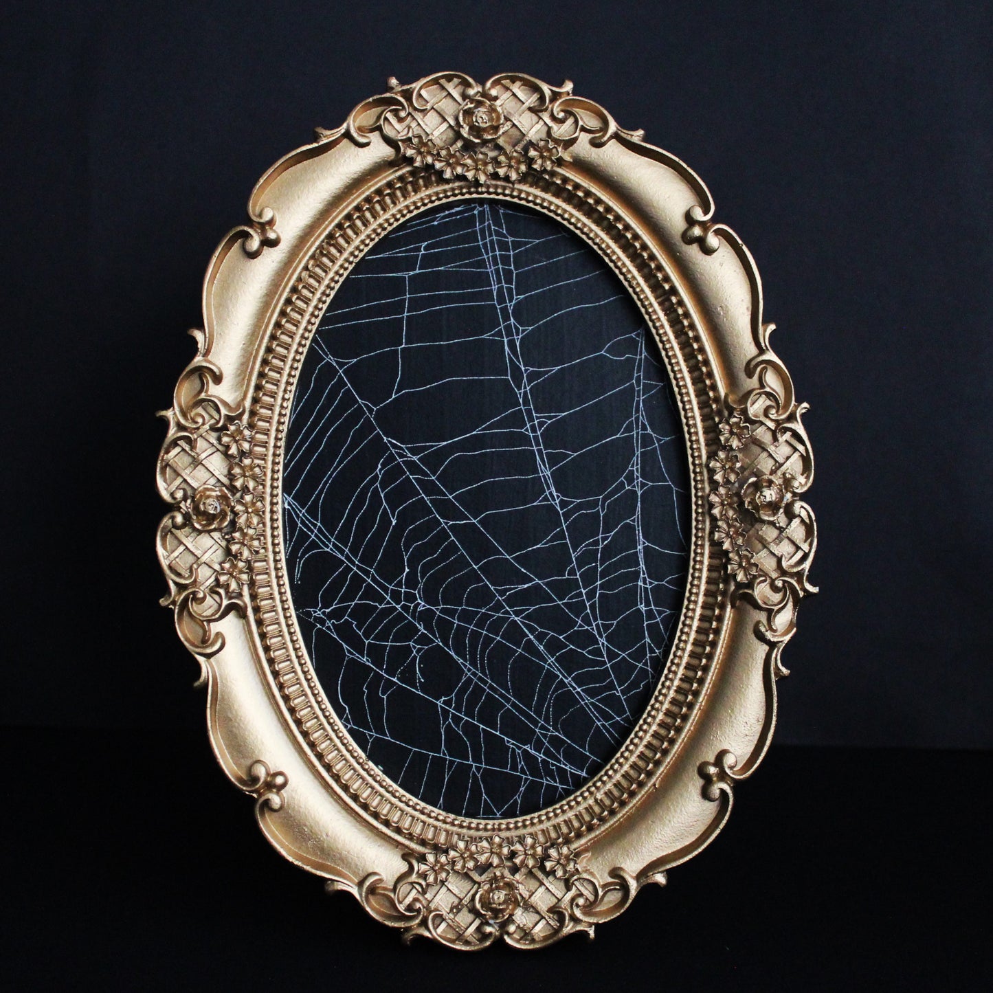 Framed Oval Spider Web