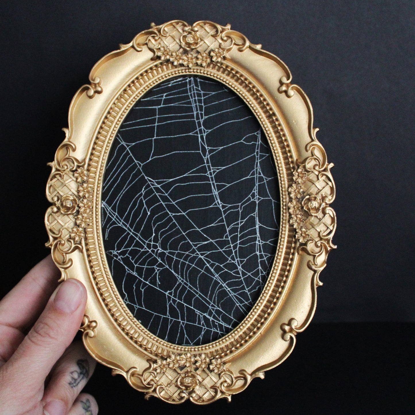 Framed Oval Spider Web