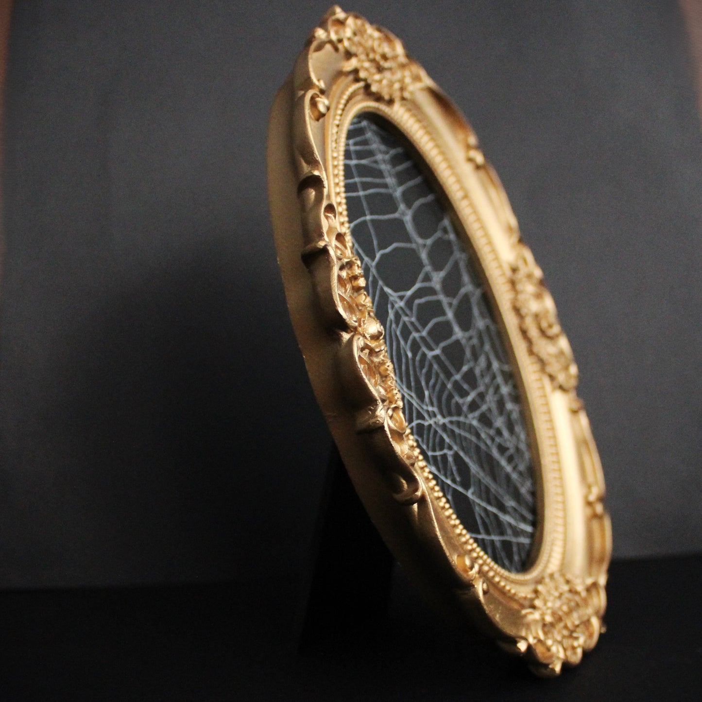 Framed Oval Spider Web