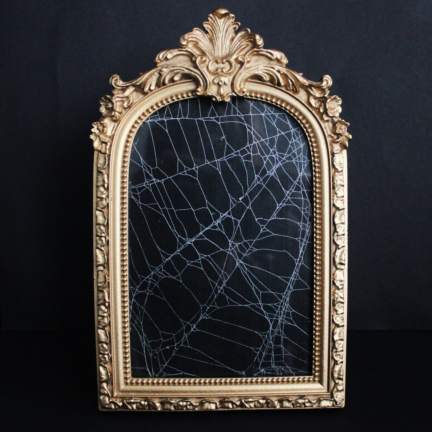 Framed Arch Spider Web