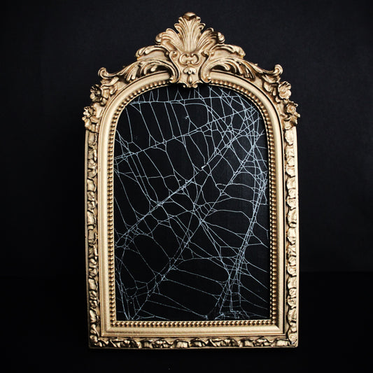 Framed Arch Spider Web