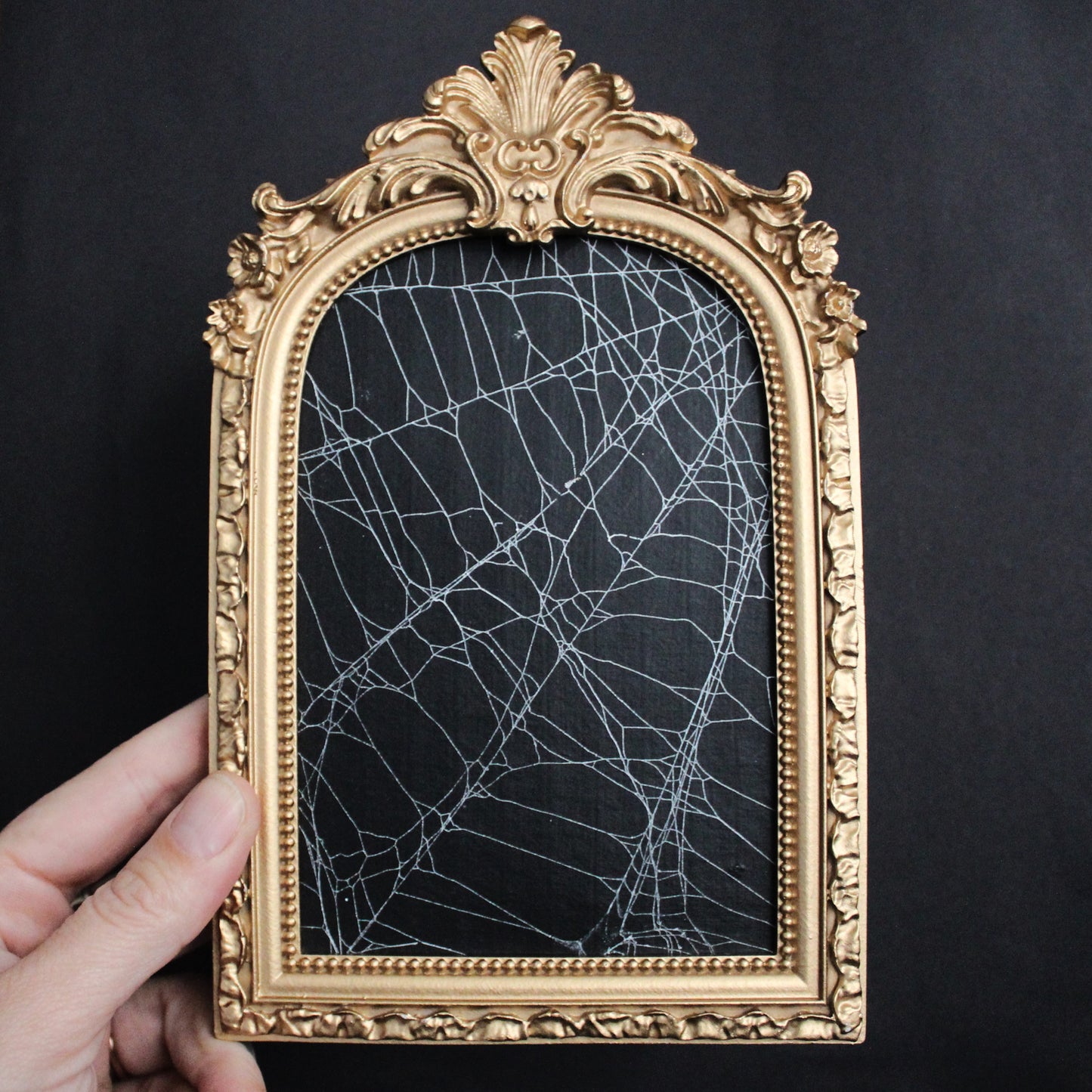 Framed Arch Spider Web