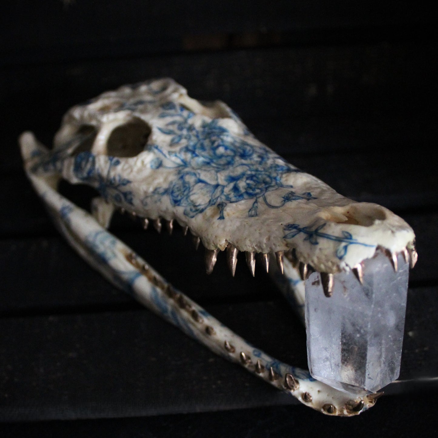 Delft Crocodile Skull