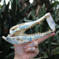 Delft Crocodile Skull