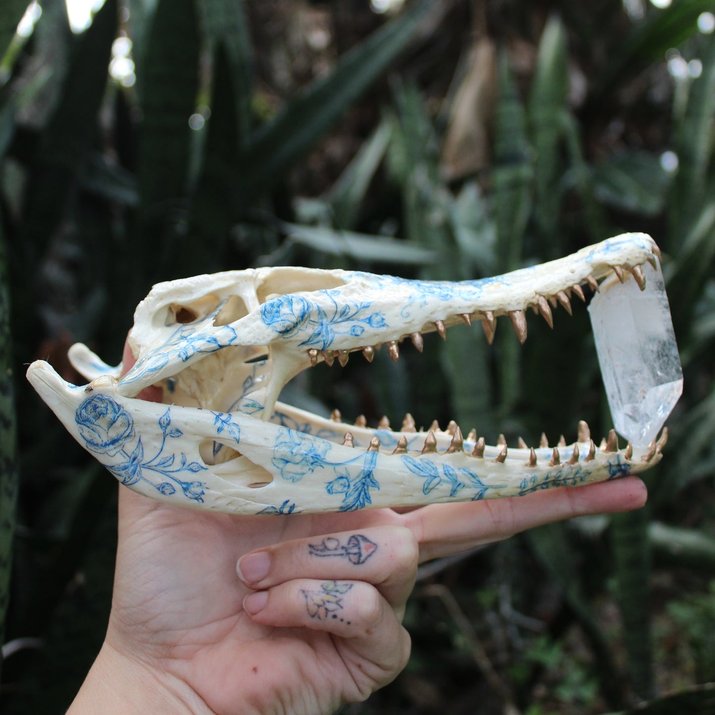 Delft Crocodile Skull