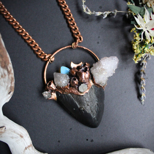 Fossilized Megalodon Tooth Necklace