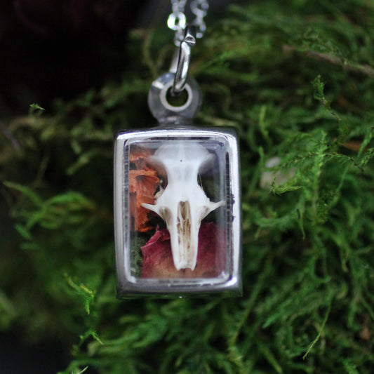 Mouse Skull Reliquary