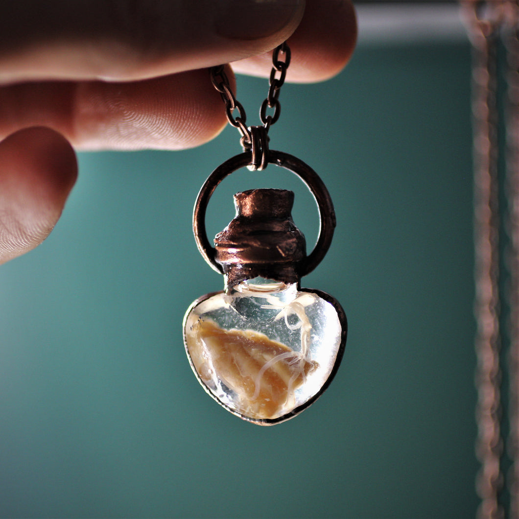 Human Brain Vials