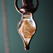Load image into Gallery viewer, Human Brain Vials
