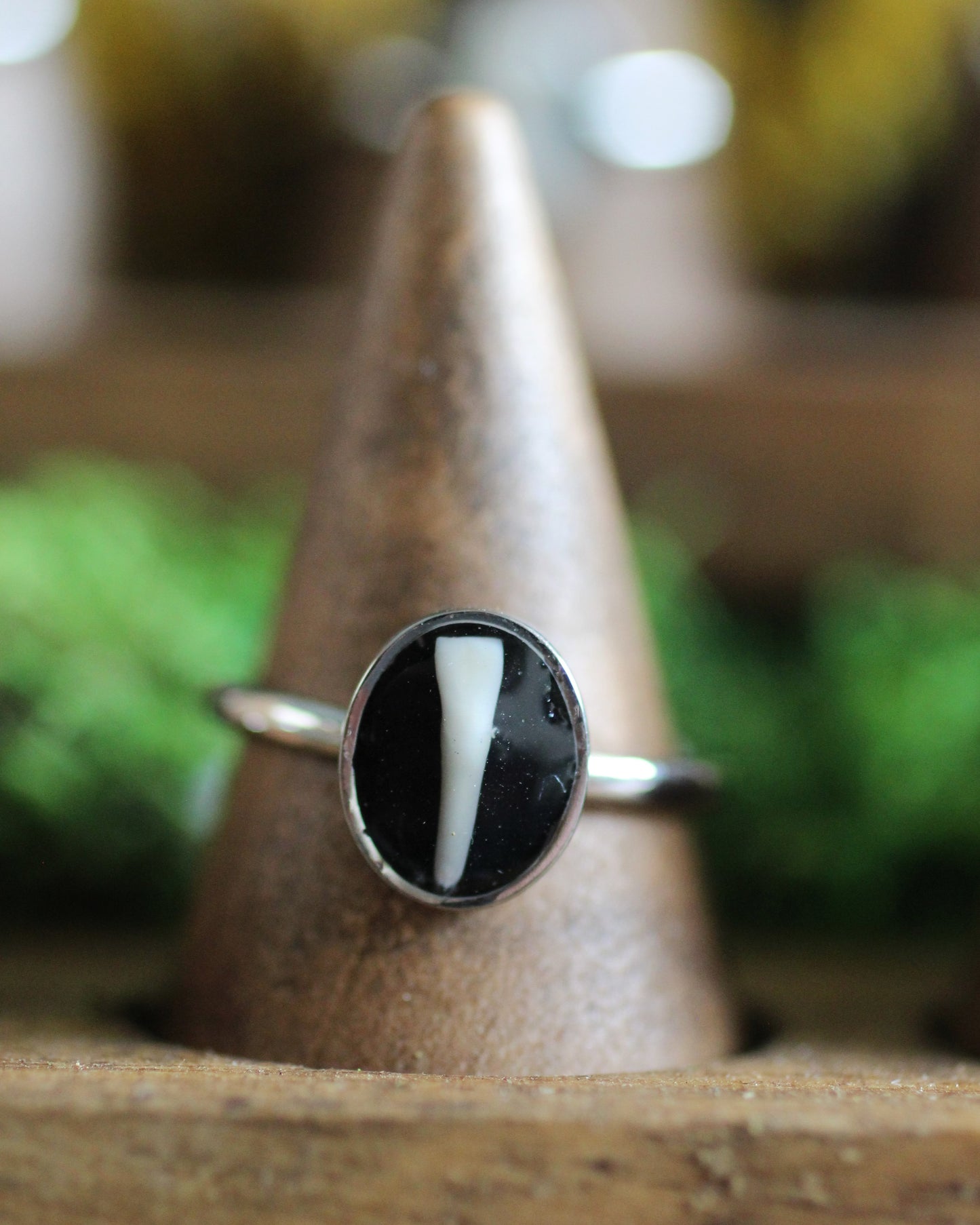 Stainless Steel Tooth Rings
