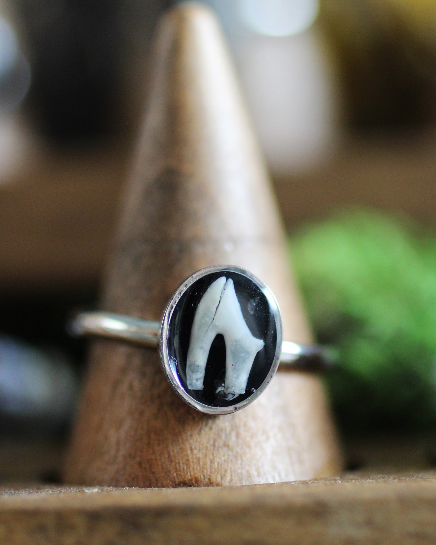 Stainless Steel Tooth Rings