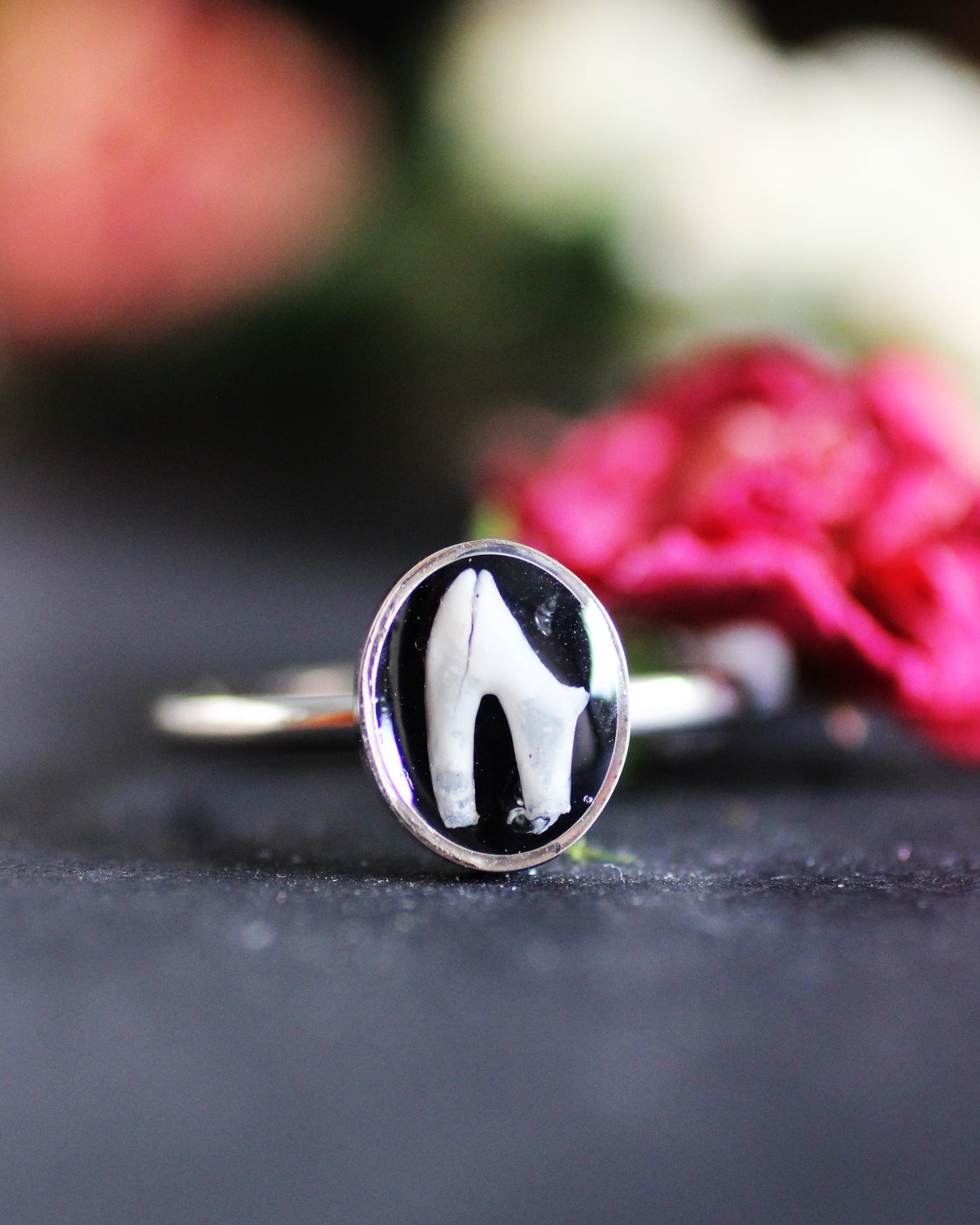 Stainless Steel Tooth Rings