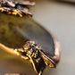 Two Honeybees and Amber