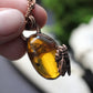 Little Amber Honeybee Necklace