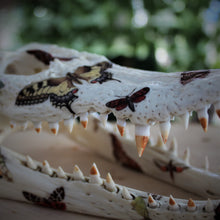 Load image into Gallery viewer, Crocodile and Moths
