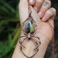 Bumblebee Jasper Orb Weaver