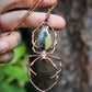 Bumblebee Jasper Orb Weaver