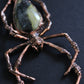 Bumblebee Jasper Orb Weaver