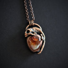 Load image into Gallery viewer, Red Opal Hatchling
