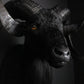 Black Ram Beast