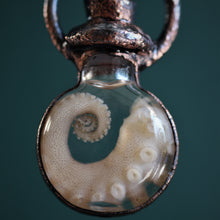 Load image into Gallery viewer, Octopus Tentacle Round Vial
