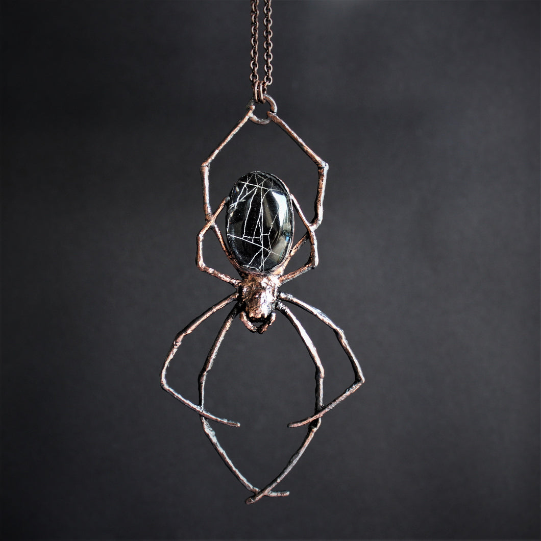 Spiderweb Orb Weaver