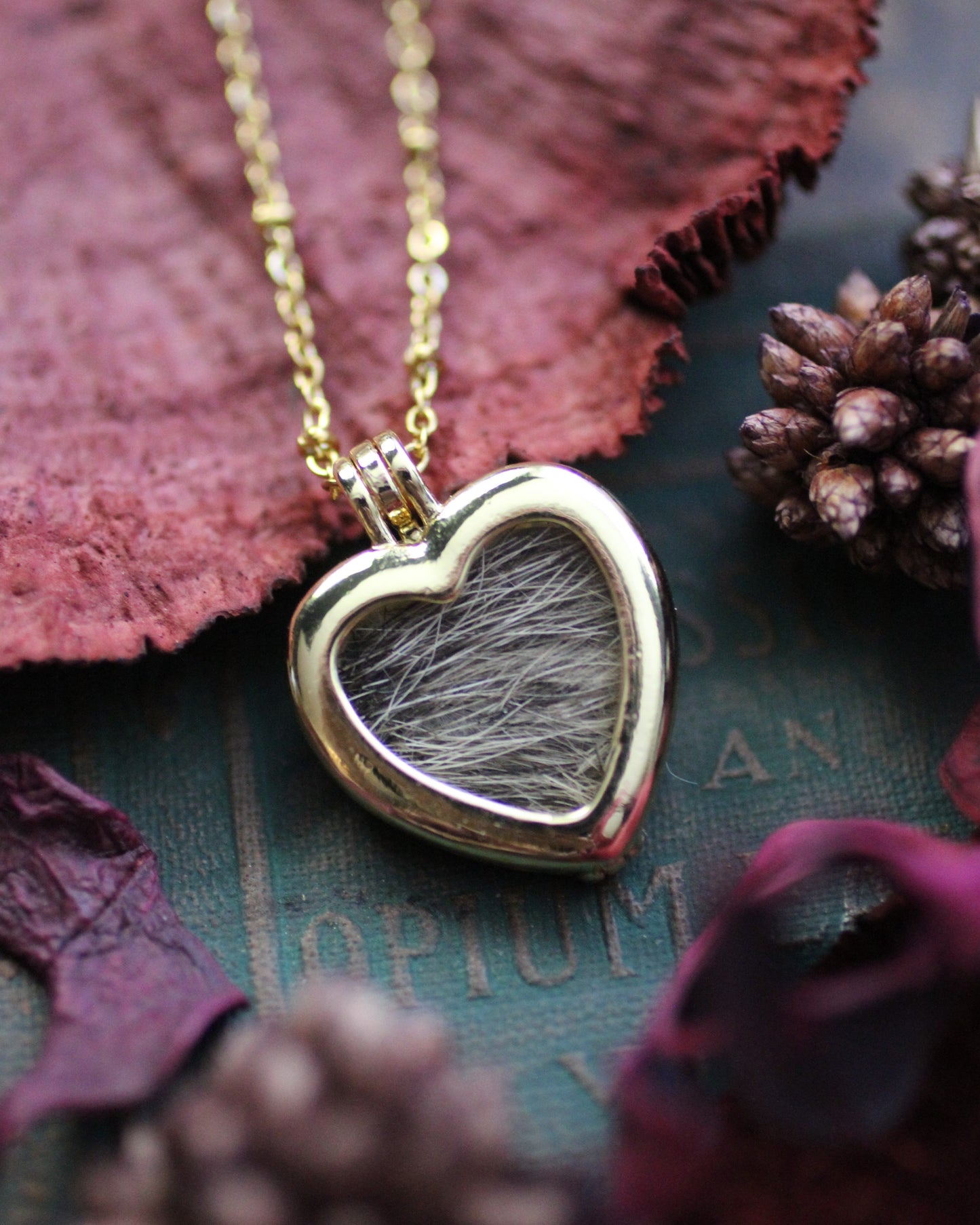 Window Heart Locket