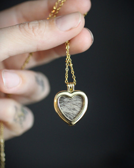 Window Heart Locket
