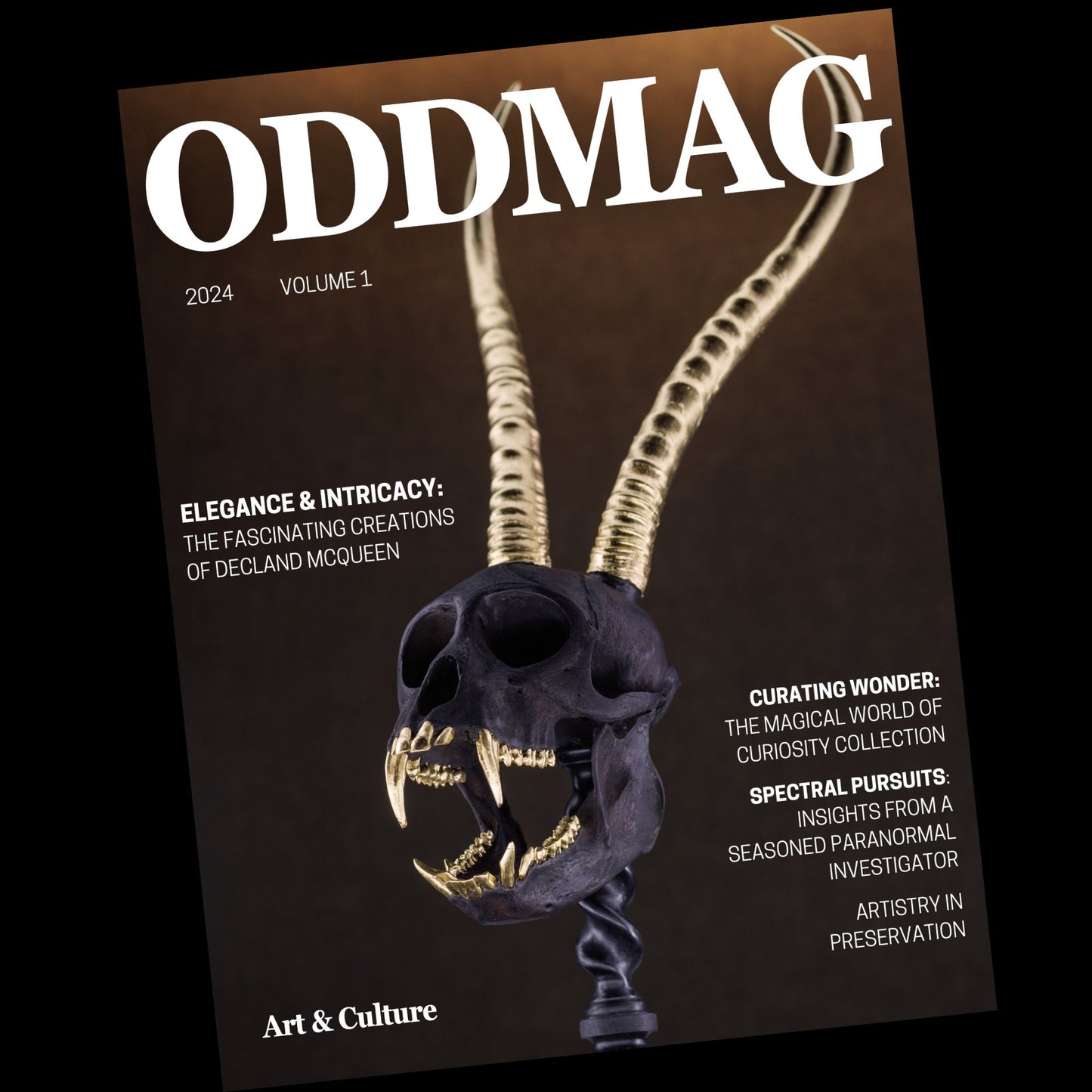 (PRE-ORDER) ODDMAG Volume 1 *2nd printing*