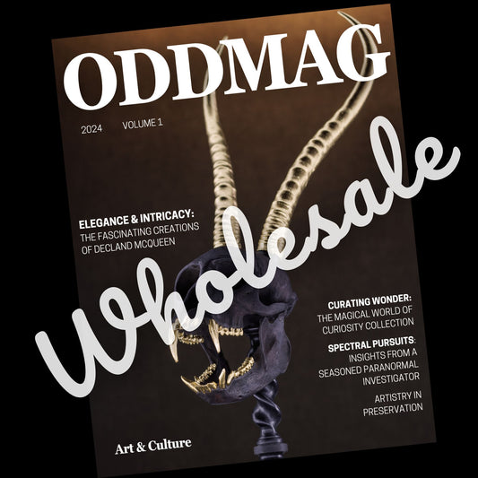 ODDMAG Volume 1 (Wholesale)