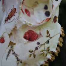 Load image into Gallery viewer, Cottage Roe Deer Skull
