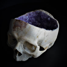 Load image into Gallery viewer, Crystallized Real Skull (Half)
