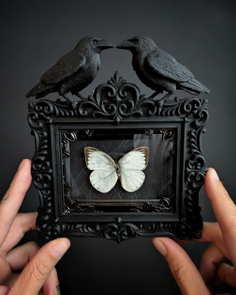 Butterfly Shadowbox