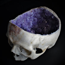 Load image into Gallery viewer, Crystallized Real Skull (Half)
