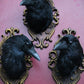 UK Carrion Crow Head Mounts
